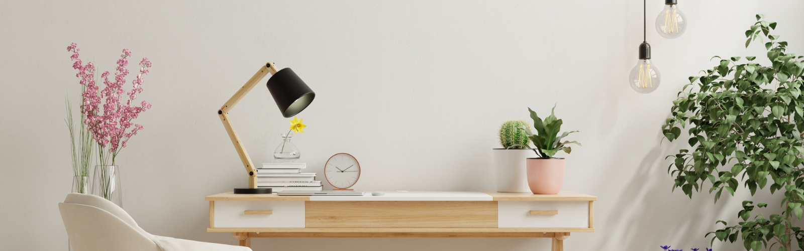 collection-banner-image