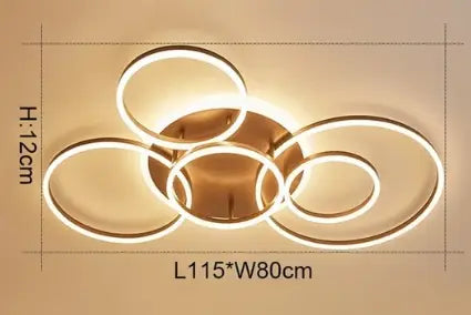 2/3/5/6 Circle Rings Modern Led Ceiling Lights For Living