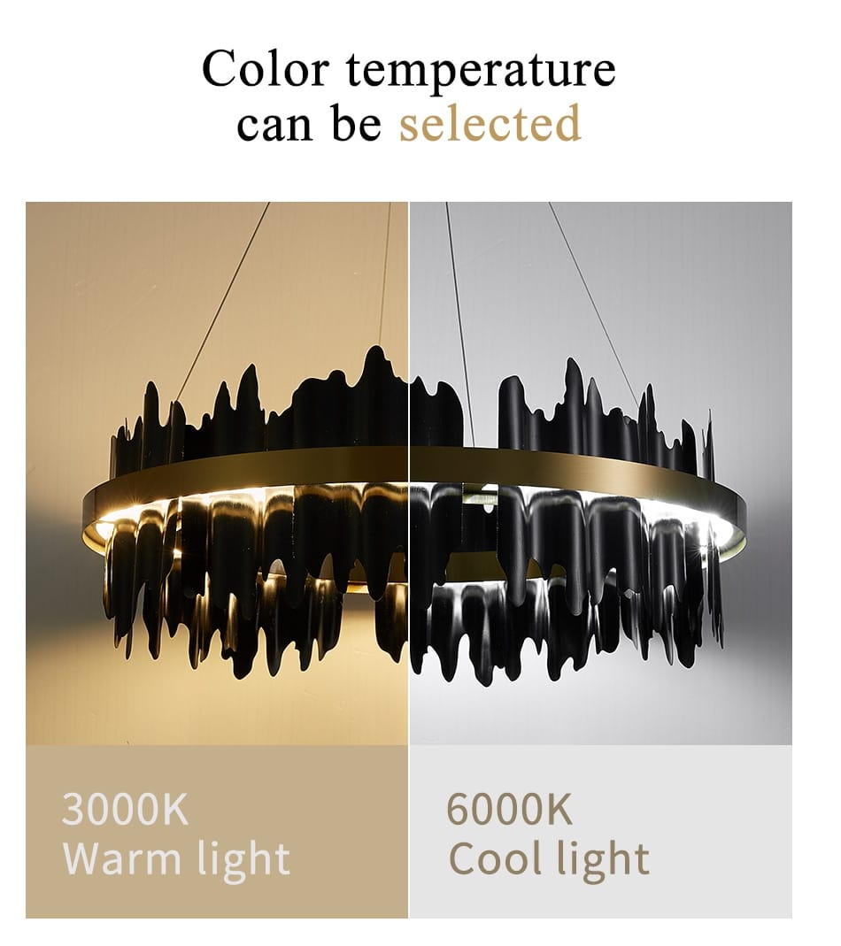 Azalea - Modern Creative Black round LED Chandelier
